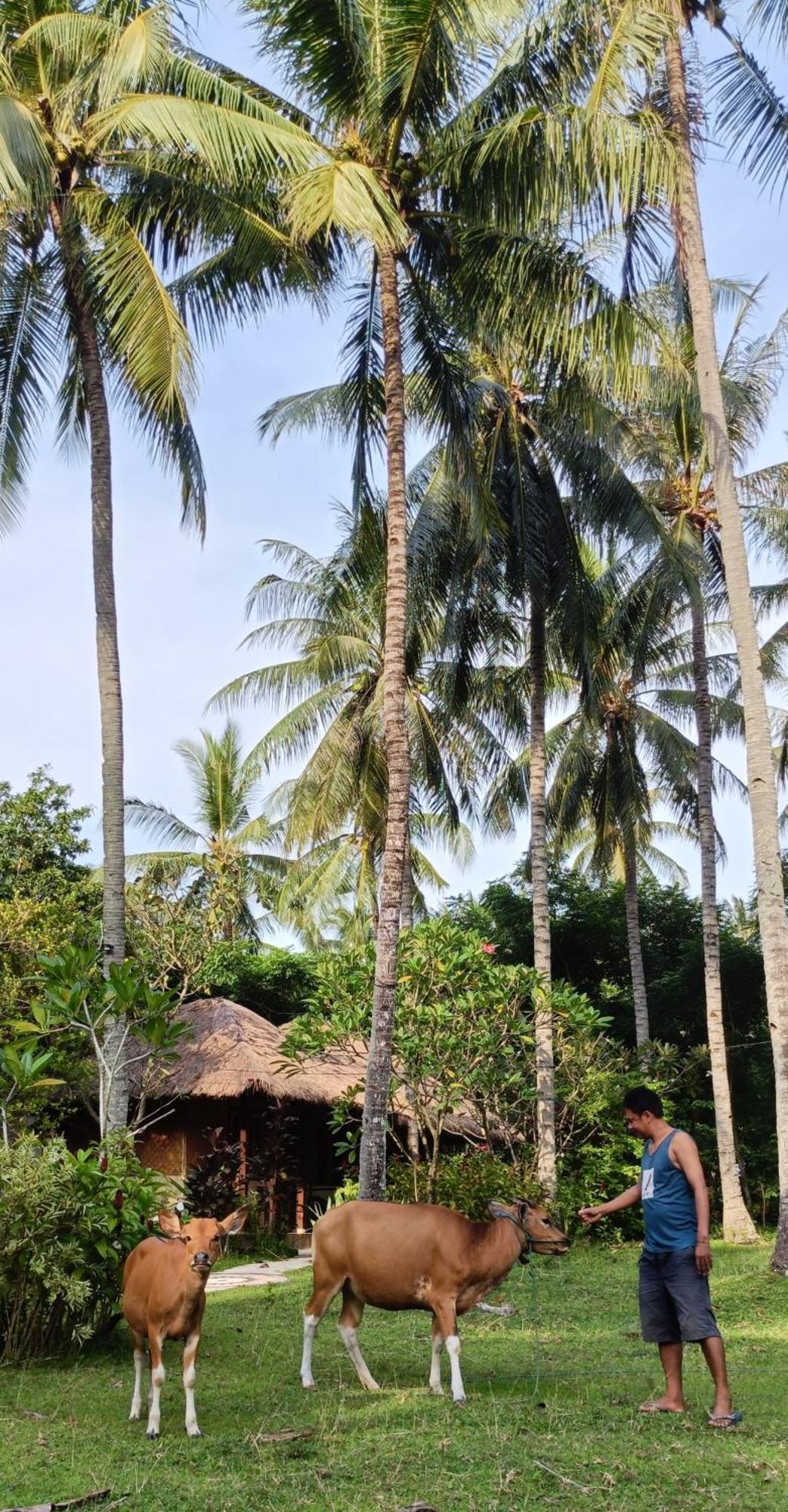 סנגיגי Lendang Eco Lodge מראה חיצוני תמונה