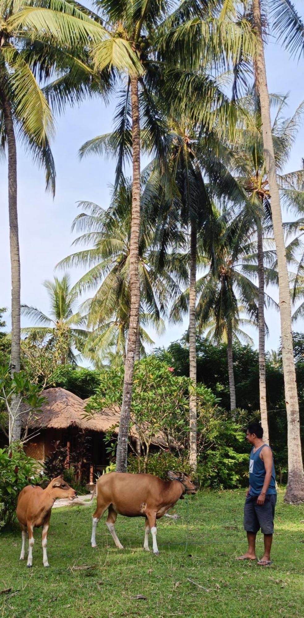 סנגיגי Lendang Eco Lodge מראה חיצוני תמונה