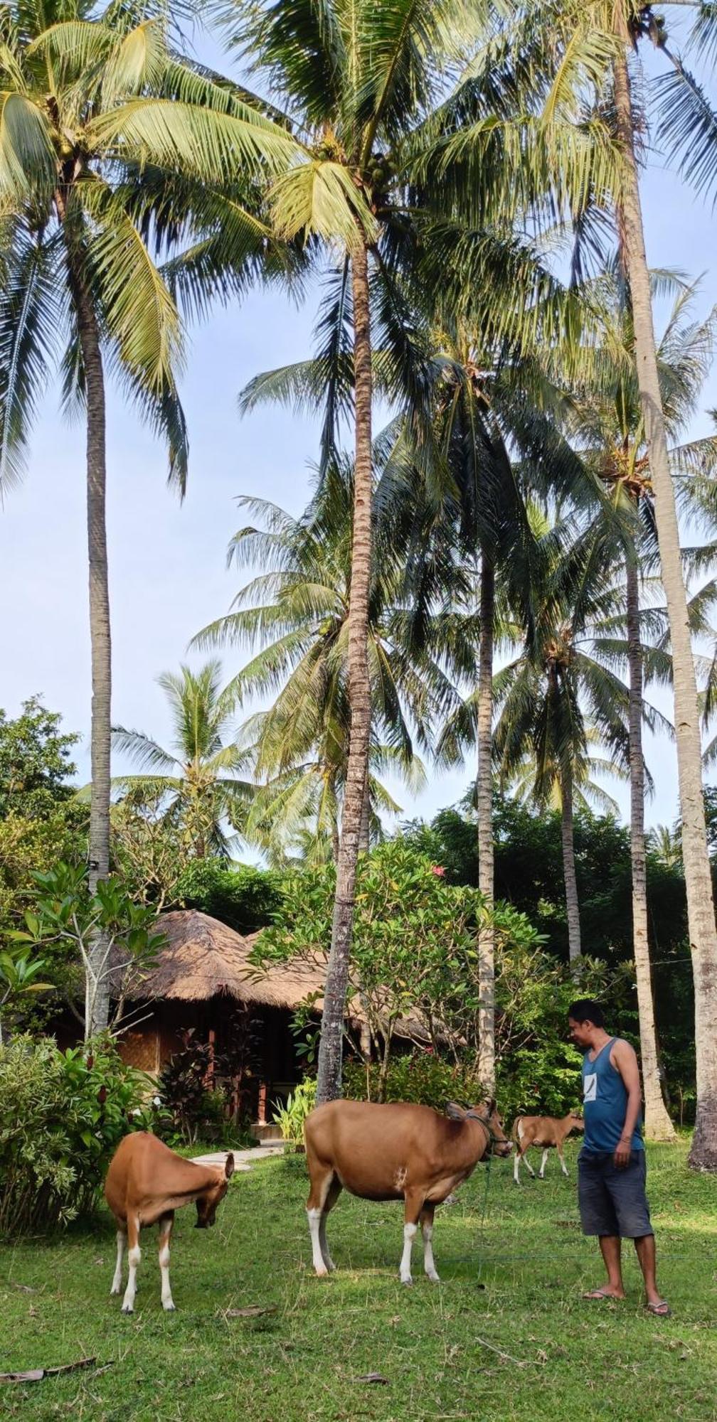 סנגיגי Lendang Eco Lodge מראה חיצוני תמונה